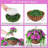 Hanging Basket Arrangement in Basket-1421424610