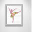 Ballet toute la journée 3-48187471-48187458