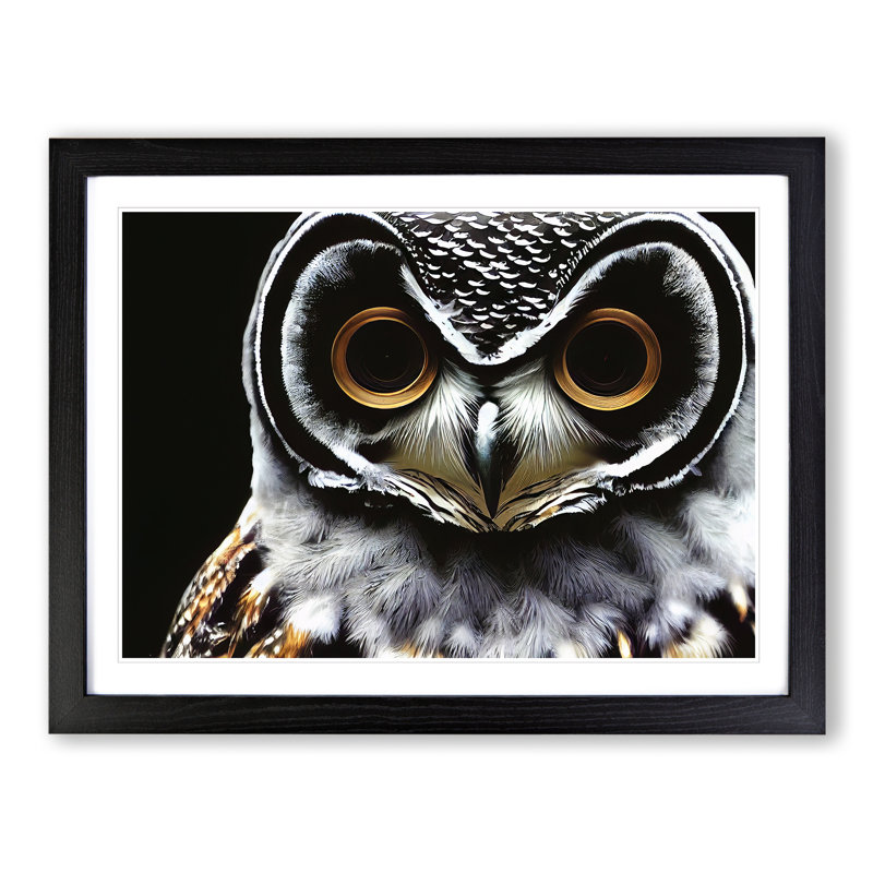 Favourable Owl - Single Picture Frame Print, 46cm H x 64cm W x 2cm D, Black