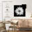 Harnek BW White Daisy