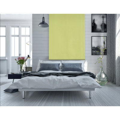 Blackout Roller shade
