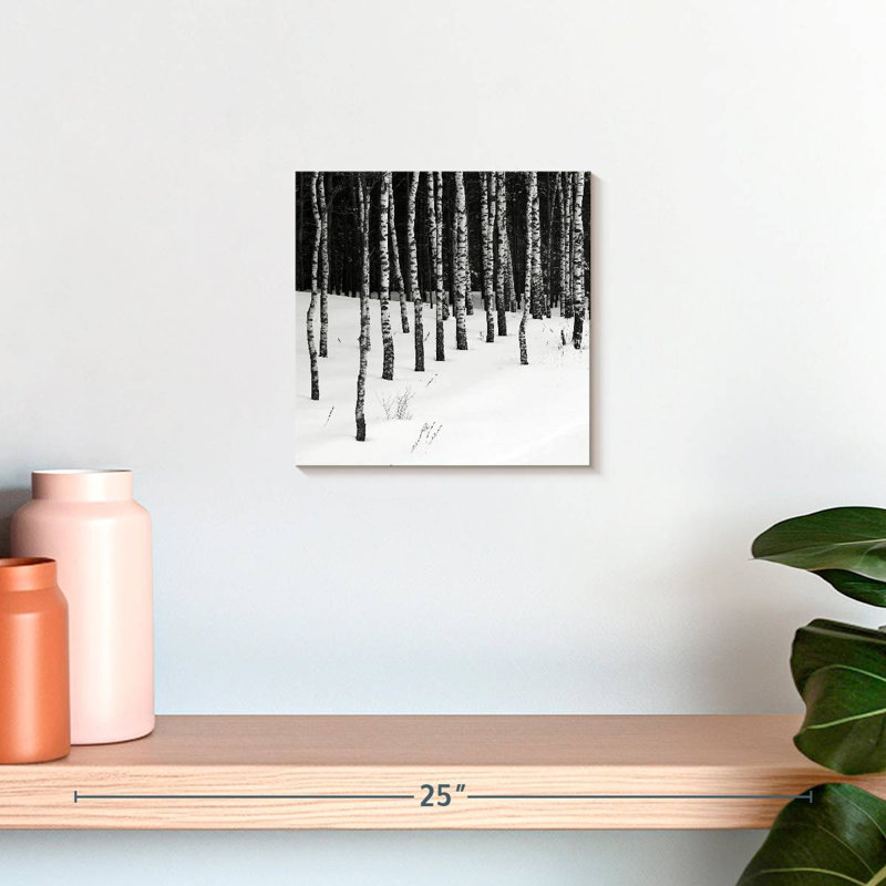 Harnek Birch In Snow, 10" H x 10" W