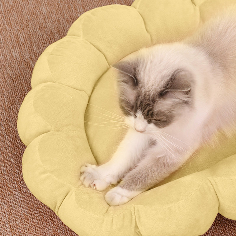 Matelas pour chien pour chien 19,7 x 19,7 po, Jaune