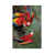 Canvas selected