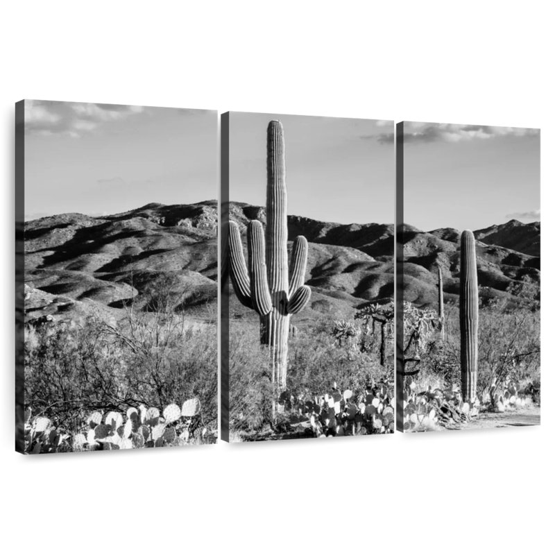 Tergel noir, Arizona - Cactus du désert de Tucson, H 20 po x l 33 po