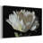 WHITE PEONY-Gallery Wrapped Canvas-457515149