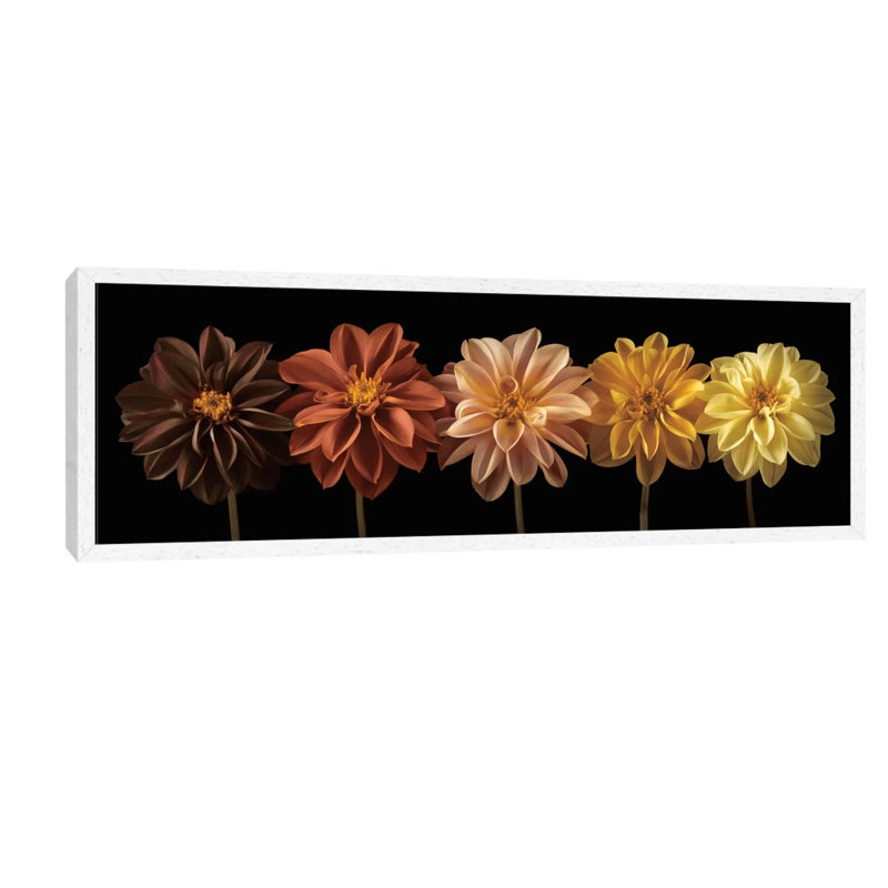 Floral Salute by Assaf Frank - Panoramic Print on Canvas, 152.4 cm H x 50.8 cm W x 1.91 cm D, White Framed