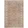Carolus Viscose Pile Oriental Rug