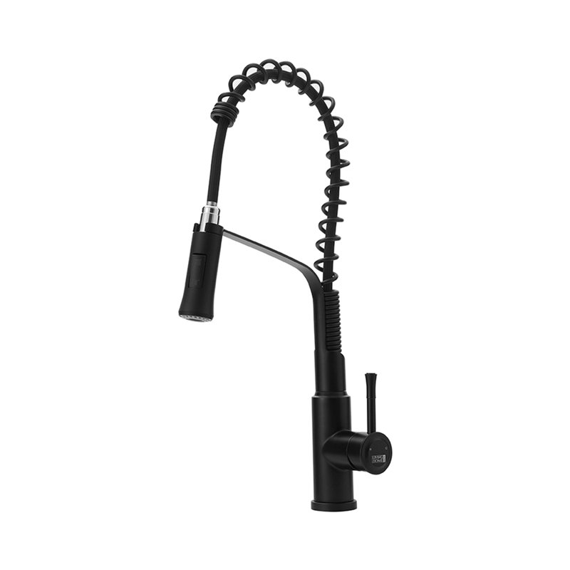 Belfry Kitchen Catawba Pull Down Kitchen Faucet, Black