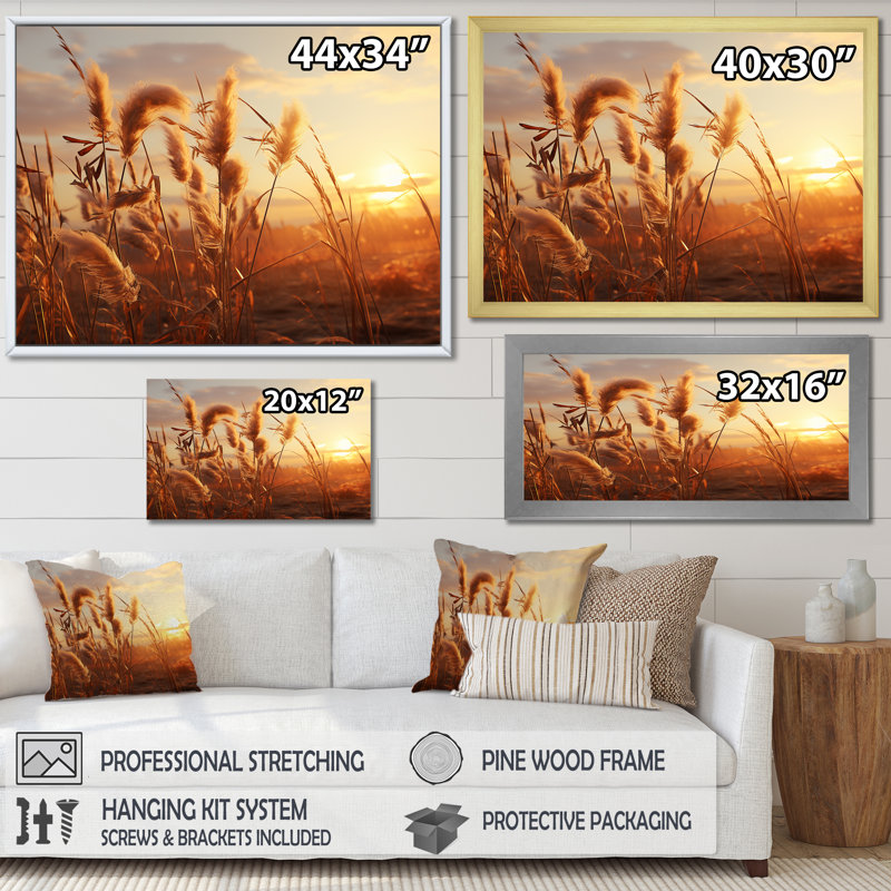 Coucher de soleil, Meadows d'été I, Cadre flottant noir, H 24 po x l 32 po x P 1 po