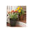 Burdette Pot Planter-966315657-1059539734