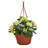  Dura Cotta 6.8 in. H X 12.5 in. W X 12.4 in. D Resin Hanging Basket Terracotta-1453477056-1453477062