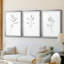 Croquis floral - reproduction encadrée sur mesure de qualité supérieure mate - 3 pièces-1851482086-1851482083
