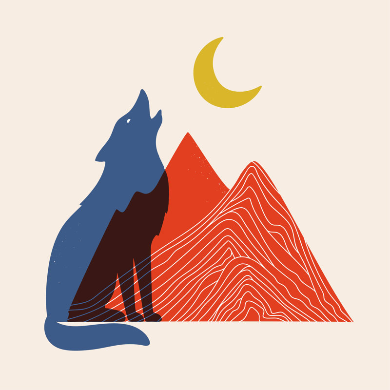 Wolf Howling On Mountain by Julymilks - Wrapped Canvas Print, 51cm H x 51cm W