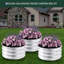 Planter