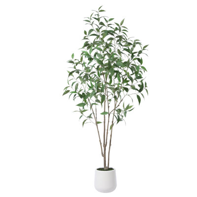 Arbre à eucalyptus AdcockFaux avec pot rond blanc, plante d'eucalyptus pré-empotée pour la décoration intérieure