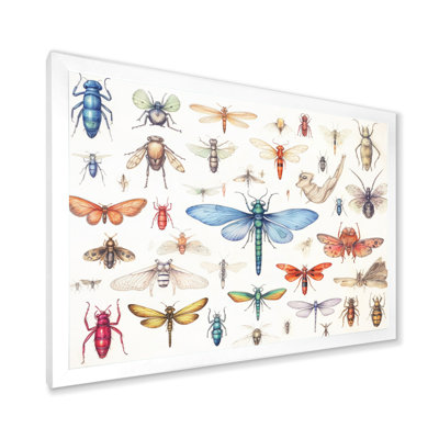 «Tiny Insect Wonders I», reproduction sur toile