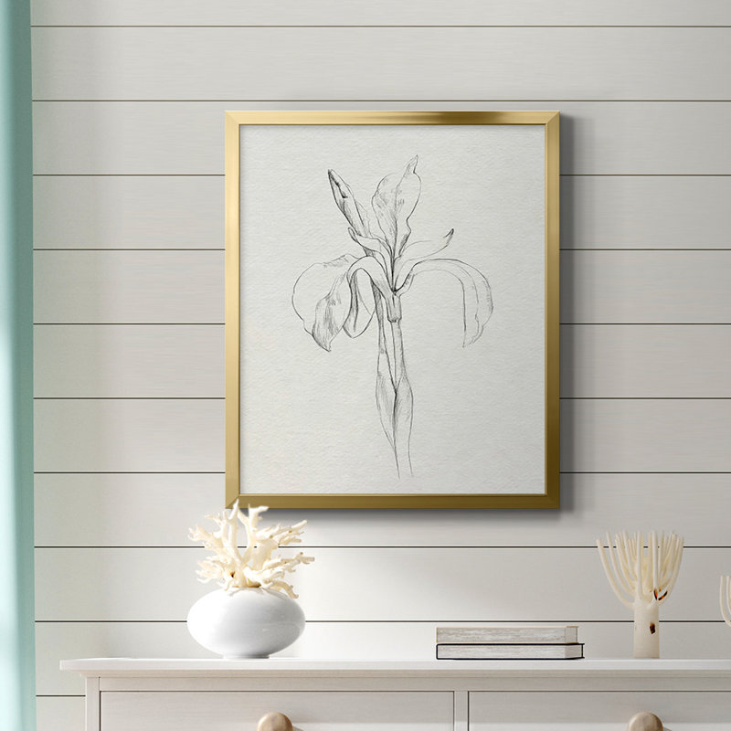 «Neutre Iris S Croquis II», toile encadrée de qualité supérieure - prête à être accrochée, Or, H 20 po x l 16 po