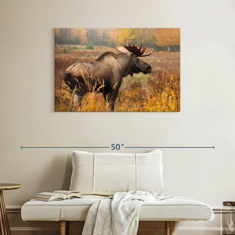 Crowle Mighty Alaskan Moose, H 26 po x l 39 po