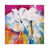 Wrapped Canvas