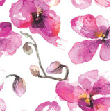 Orchid Floral Floral Peel & Stick Wallpaper by Jamie Graney