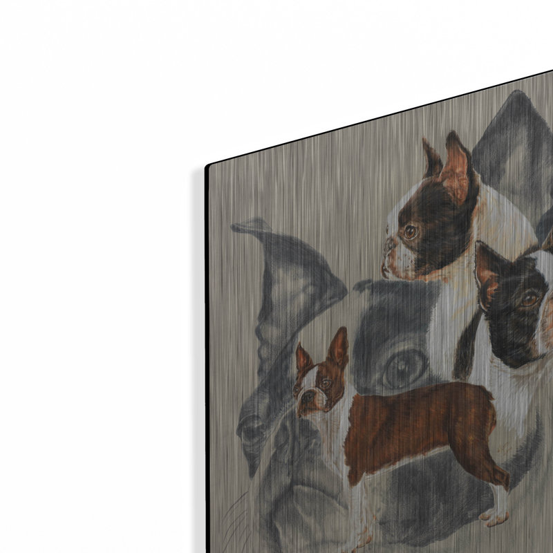 «Boston Terrier 2» par Barbara Keith, H 16 po x l 12 po