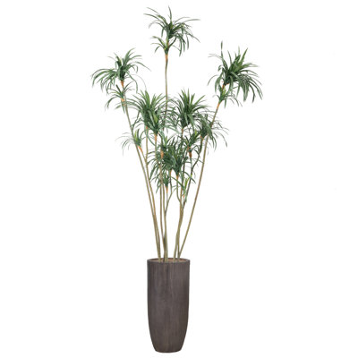 118'' Faux Dragon Tree Tree in Pot