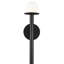 Single Light Steel Dimmable Wallchiere-44138665