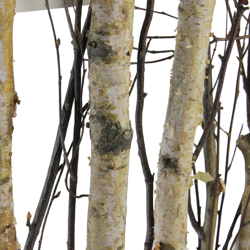 Décoration murale 17,55 "branches mixtes dans un cadre en bois rustique