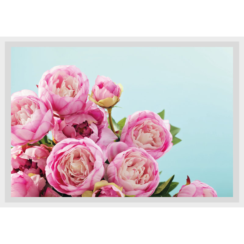 Rose - Single Picture Frame Print