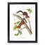 Soft-Haired Squirrels by J.W. Audubon - Picture Frame Painting Print-55725814-55725819