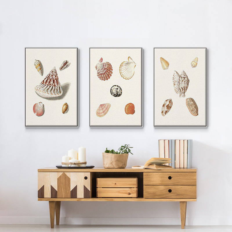 " Pastel Knorr Shells VI " 3 - Pieces, 40" H x 90" W  x 2" D, White