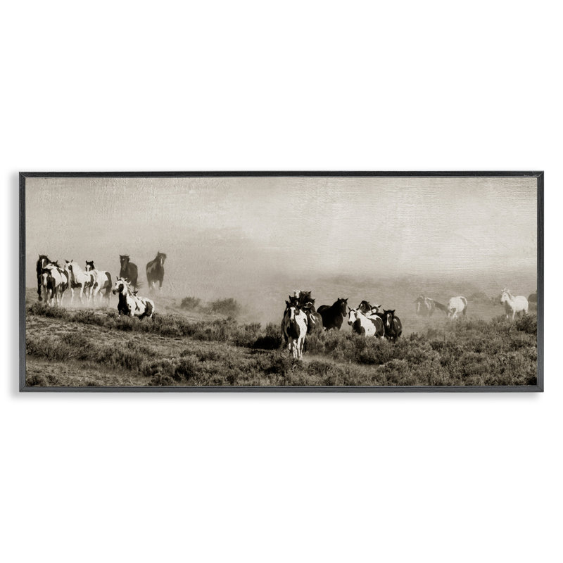 «Dust Up Horse Stampede», estampe numérique, design par Danita Delimont, H 10 po x l 24 po, Giclée encadrée noir minuit