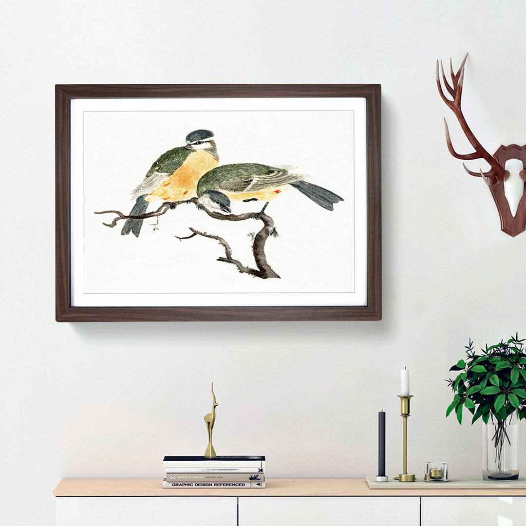 Great Tit Birds by Johan Teyler - Picture Frame Painting Print