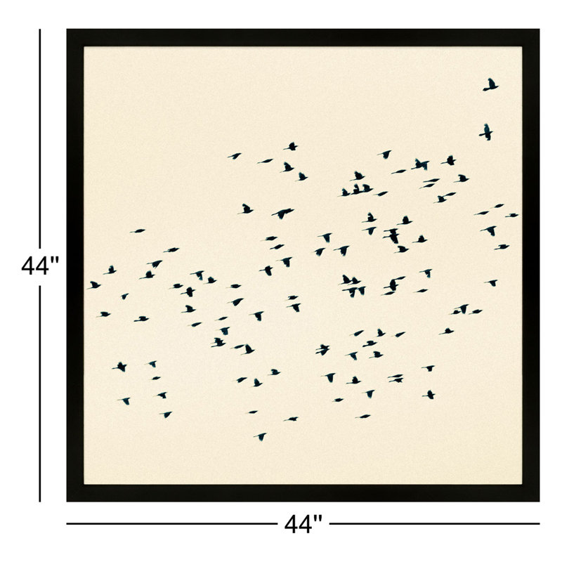 Soaring Print by Peter Dušek, 44" H x 44" W x 1.25" D, Black