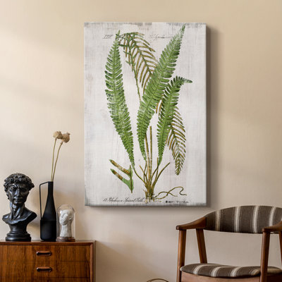 Greenhouse Fern I - galerie sur mesure