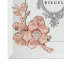 Botanica Glass Picture Frame-43448862-43448864