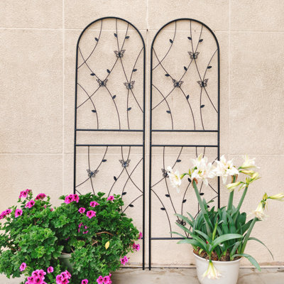 71'' H x 19.7'' W Iron Fan Trellis