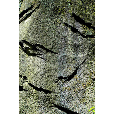 " Mossy Rock Texture "