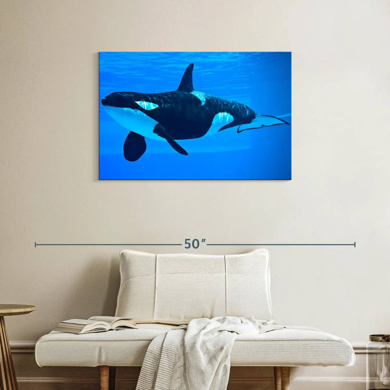 Brampt Friendly Killer Whale, 24" H x 36" W