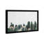 Photographie de cactus vert - cadre photo-68785446-68785447
