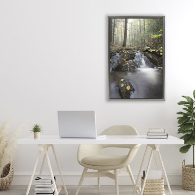 Cadre flottant Adirondacks Misty Stream, conception de James Rodewald