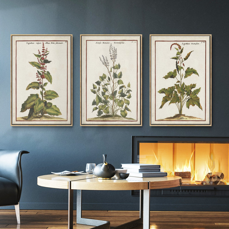 «Munting Botanicals IV», ensemble de 3 toiles encadrées, H 27 po x l 54 po, Bois naturel