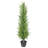4' Artificial Real Touch Pine Tree in Black Plastic Pot, 1pc/set