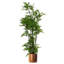 150cm Faux Moss Tree in Metal Planter-1516446488