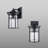 Thorton Wall Light-604144969-604144972