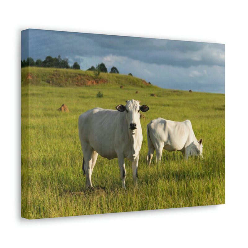 No Frame Print on Canvas, 12cm H x 16cm W