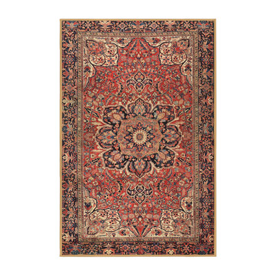 Drumnasole Oriental Indoor Rug