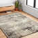 Abbie Performance Abstract Indoor Rug