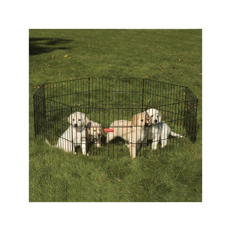 Panel Metal Exercise Pen With Door, X- Small (18" H x 24" W)